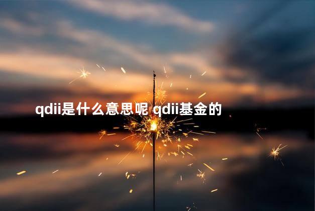 qdii是什么意思呢 qdii基金的利弊